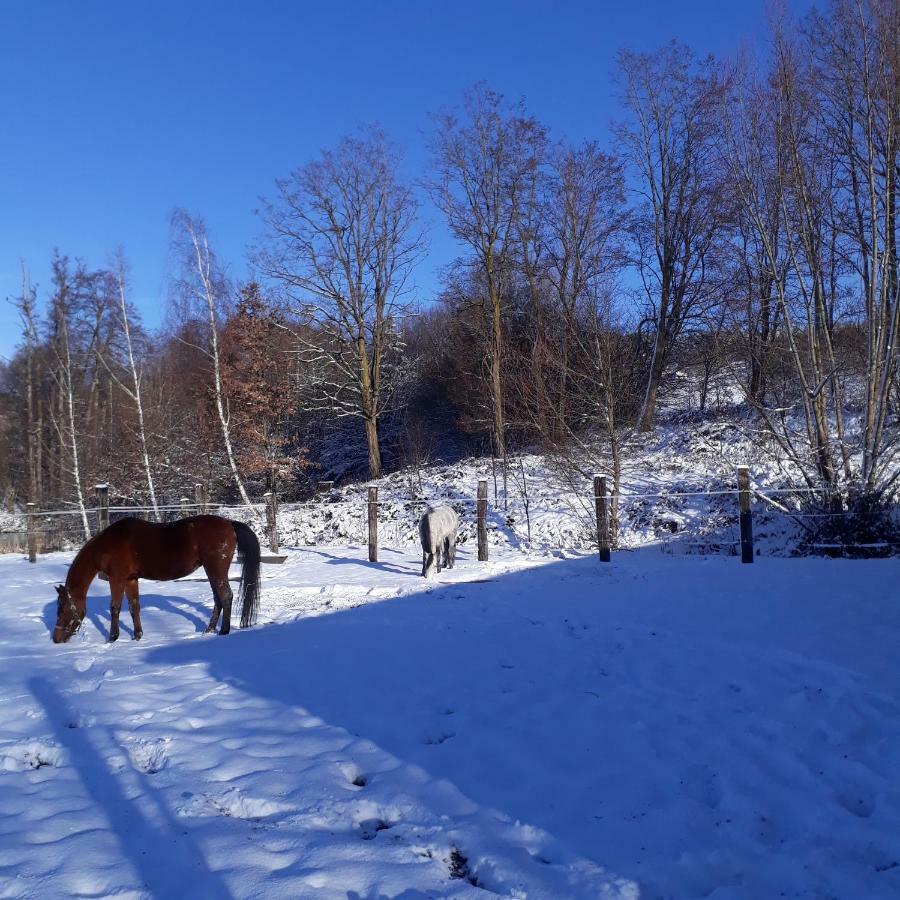 Le Gîte du Cheval Blanc Fraize Extérieur photo